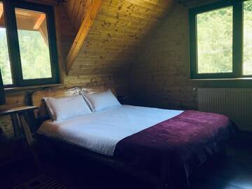 Фото номера Улучшенный двухместный номер с 1 кроватью Гостевой дом Cabana Ancutei г. Рукэр 13