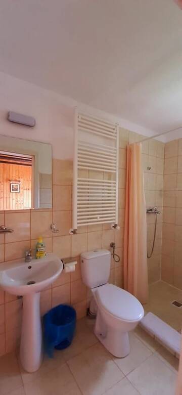 Фото номера Семейный номер Гостевой дом Cabana Ancutei г. Рукэр 4
